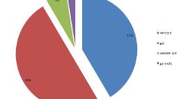 Image Résumé des résultats de sondage relatif au site internet