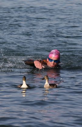 Entraînement de natation